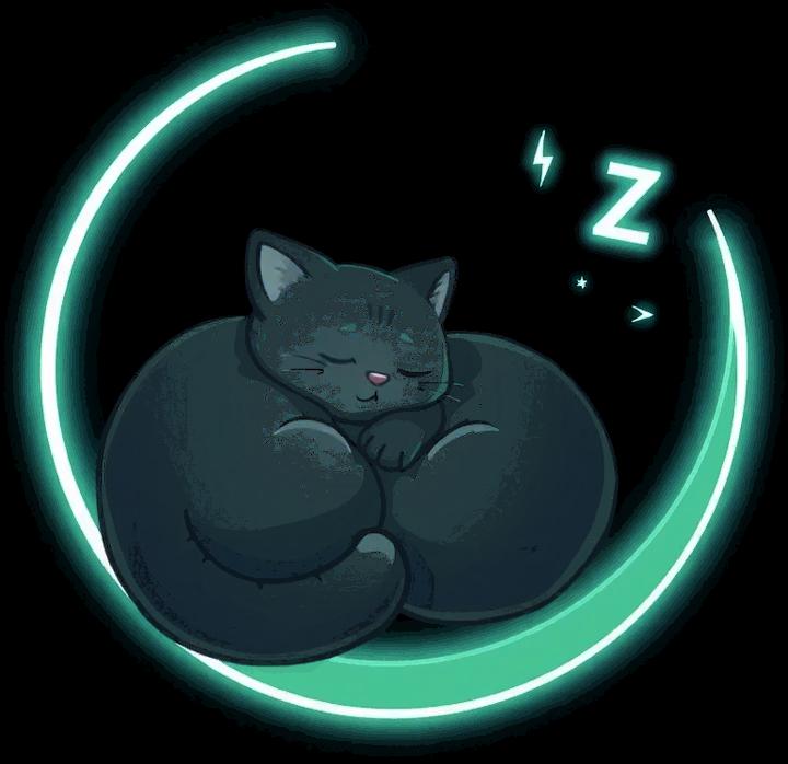 睡眠交易吉祥物：睡在月亮上的貓